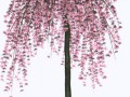 _yapfiles.ru (9)