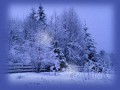 fon_зима_arnusha