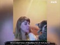 Живодерка бьет кота