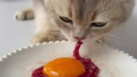 lecker