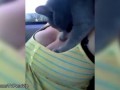 Этим котам нравится женская грудь