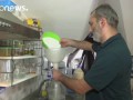 Турки переходят на самогон