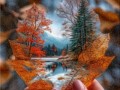 _01-ноябрьское