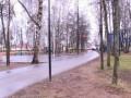 Привидение?