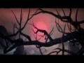 Кунг-фу Панда
